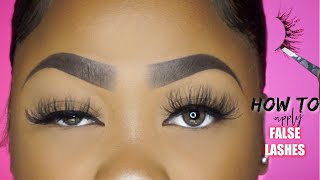 HOW TO APPLY FALSE LASHES EASY STEPS FOR BEGINNERS [upl. by Petula]