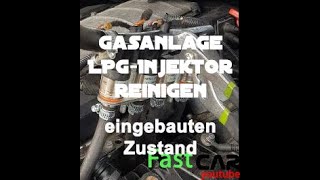 LPG Gasinjektoren reinigen  Gasanlage ohne Funktion  Injektoren eingebaut reinigen ANLEITUNG [upl. by Norret]