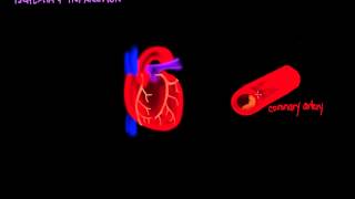 Ischemia and Infarction [upl. by Artina574]