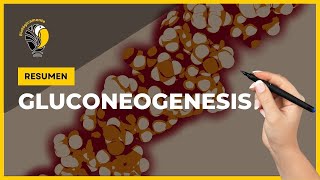 GLUCONEOGENESIS  Resumen 👍 [upl. by Ennoitna]