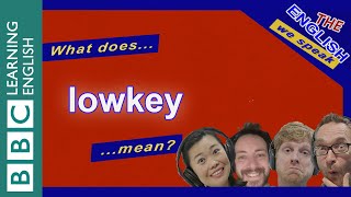 What does lowkey mean The English We Speak [upl. by Arrimat396]