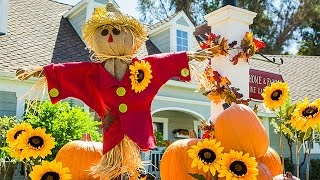 How To  Ken Wingards DIY Scarecrow  Hallmark Channel [upl. by Pax]