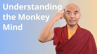 Understanding the Monkey Mind with Yongey Mingyur Rinpoche [upl. by Assetnoc]