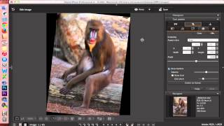 Digital Photo Professional DPP 4 Editing Images [upl. by Inalem614]