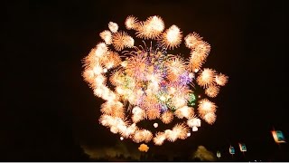 Worlds Largest Shell 48 Inch Firework 2016 HD [upl. by Domenic687]