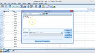 Getting Started with IBM SPSS [upl. by Cal]