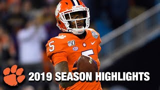 Tee Higgins 2019 Season Highlights  Clemson WR [upl. by Schnurr]