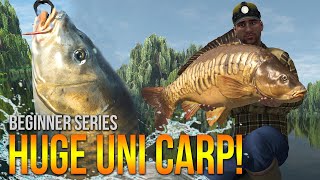 Lvl50 Weeping Willows UNIQUE Carp Method Leads amp More  Fishing Planet [upl. by Ammadas]