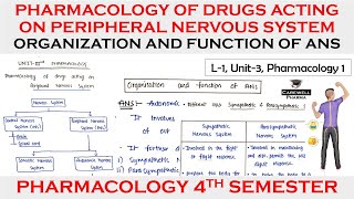 Pharmacology of drugs acting on Peripheral Nervous System  Organization and function of ANS L1U3 [upl. by Norward]