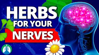 Top 10 Best Herbs for Your Nerves Nervous System Boost [upl. by Thrift]