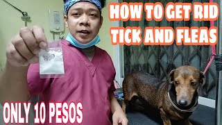 HOW TO GET RID OF TICKS AND FLEAS  MABISANG PANTANGGAL NG GARAPATA [upl. by Otanod]