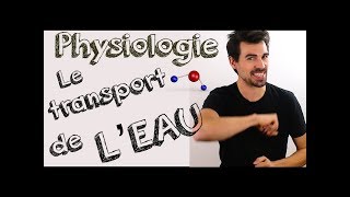 COURS DE BIOLOGIE Les transports de leau à travers la membrane plasmique [upl. by Saphra]