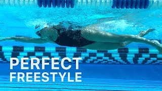 How To Swim Freestyle With Perfect Technique [upl. by Abigale13]