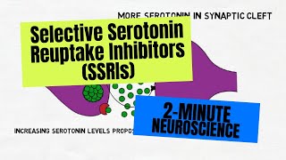 2Minute Neuroscience Selective Serotonin Reuptake Inhibitors SSRIs [upl. by Victoir]