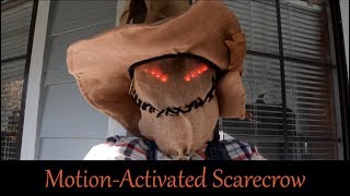 Build Your Own MotionActivated Scarecrow [upl. by Ck]