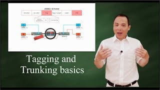 IEEE 802 1Q Tagging and Trunking 101 [upl. by Ahselyt]