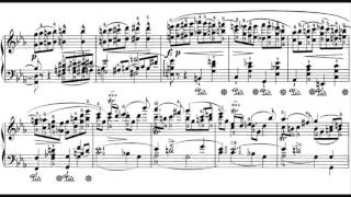 Frédéric Chopin  Piano Sonata No 1 [upl. by Leahcar402]