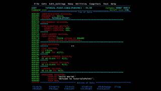 COBOL  Program Structure [upl. by Philana]