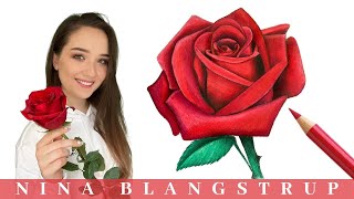 How to Draw a Realistic Rose  Step by Step Tutorial for Beginners [upl. by Alenairam931]