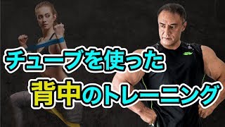 【筋トレ】山本義徳氏お勧めのチューブを使用した背中のトレーニング [upl. by Bortman]