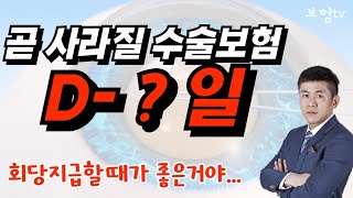 머지않은 미래에 전설의 보험이 될지도 모릅니다 [upl. by Aimehs]