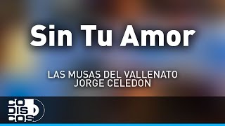 Sin Tu Amor Las Musas Del Vallenato Y Jorge Celedón  Audio [upl. by Airamesor195]