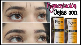 CEJAS Perfectas con BIGEN  Pigmentación de Cejas [upl. by Scotti]