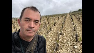 Balade Gourmande Chablis 2019 [upl. by Artkele250]