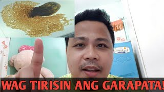 BAKIT BAWAL TIRISIN ANG GARAPATA NG ASOHONEST VLOG [upl. by Aniroz]