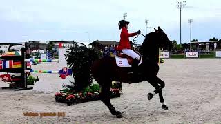 Horse show jumping falls compilation [upl. by Laurin]