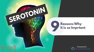 Serotonin Function and 9 Reasons Why Its So Important [upl. by Nuhsar]