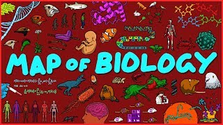 Map of Biology [upl. by Blood]