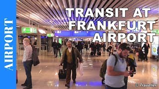 TRANSIT WALK AT FRANKFURT Airport FRA Terminal 1  Connection Flight Transfer Arriving amp Departing [upl. by Eiuqcaj207]