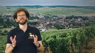 Virtual Tour of Chablis France  European Waterways [upl. by Hayyikaz]