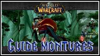 World Of Warcraft  Guide Montures  Raie du Néant Gardeciel Shatari FR HD1080 [upl. by Chrystal]