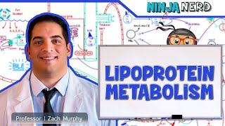 Leukemia classifications  Hematologic System Diseases  NCLEXRN  Khan Academy [upl. by Rowena]