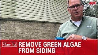 How To Remove Green Algae From Siding  Ace Hardware [upl. by Linker]