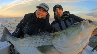 Biggest Striped Bass I’ve Ever Seen [upl. by Scriven]