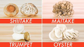 Trying Every Type Of Mushroom  The Big Guide  Epicurious [upl. by Labotsirc]