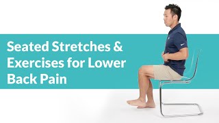 Orthopedic Rehabilitation Low back pain exercises [upl. by Marva764]