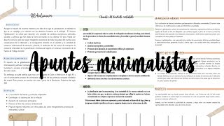 3 Ideas para Apuntes Digitales Minimalistas en Word [upl. by Subocaj]