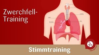 Stimmtraining  Das Zwerchfell trainieren für eine kraftvolle Stimme [upl. by Marina]