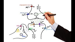 Pharmacology  ANTIEPILEPTIC DRUGS MADE EASY [upl. by Awjan]