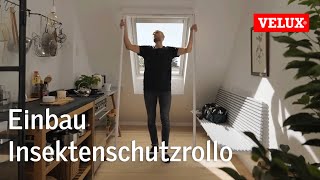 Einbau Insektenschutzrollo ZIL  VELUX [upl. by Royd]