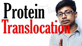 Protein translocation [upl. by Eesyak]