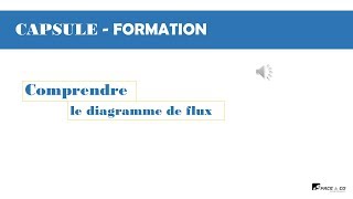 CAPSULE FORMATION DIAGRAMME DE FLUX [upl. by Ajoop]