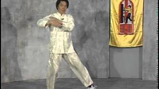 Traditional Wing Chun William Cheung Chum Kiu Form [upl. by Kalin744]