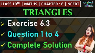 Class 10th Maths  Exercise 63 Q1 to Q4  Chapter 6  Triangles  NCERT [upl. by Leggett428]