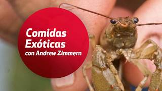 Comidas Exóticas con Andrew Zimmern [upl. by Monsour]