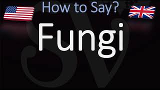 How to Pronounce Fungi [upl. by Cherye905]